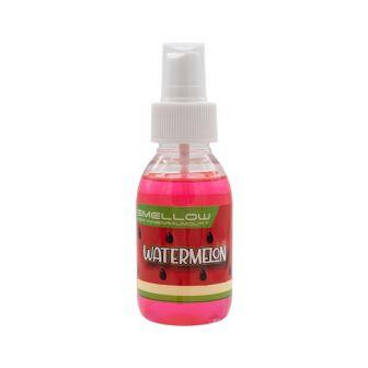 1. Innenraumduft / LIQUID ELEMENTS / Smellows Lufterfrischer Wassermelone 100ml